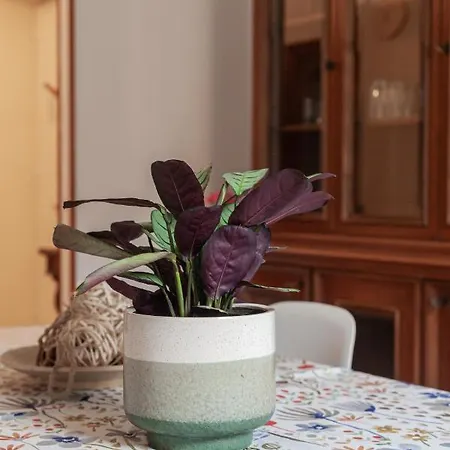 Il Melograno House Lägenhet Rom