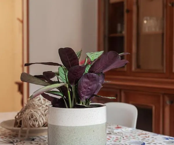 Il Melograno House Lägenhet Rom